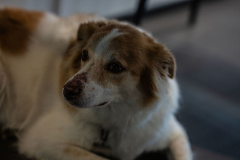 optique clin d oeil 036 768x512